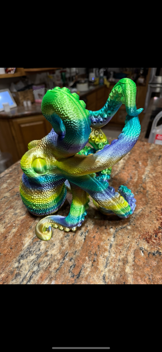 Multicolor Wino-O Octo